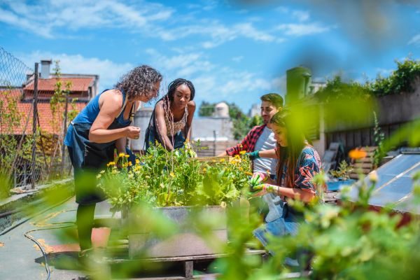 Jardins Comunitários: Como Criar e Participar de Projetos de Jardinagem Coletiva na Cidade